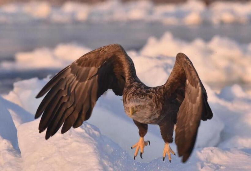 膳宿费 Shiretokoserai