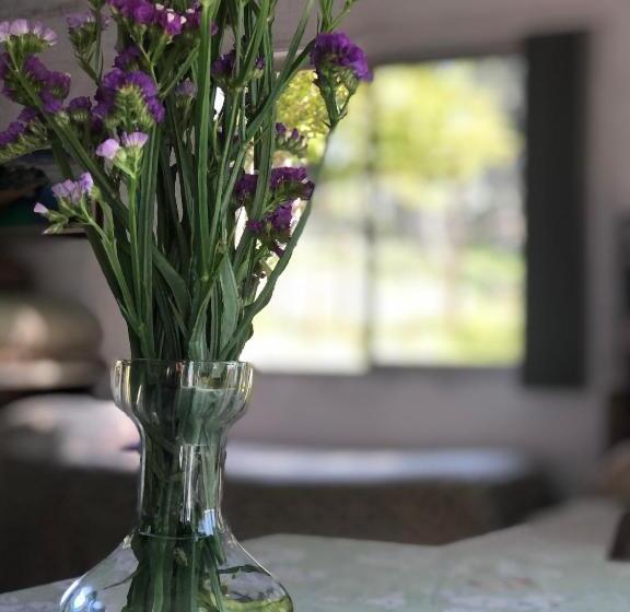 پانسیون Un Lugar Para Compartir