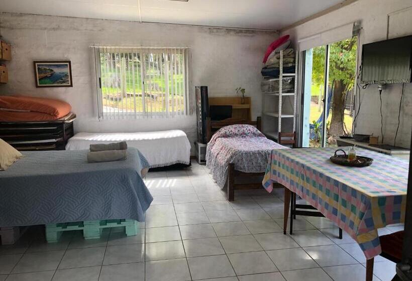 بنسيون Un Lugar Para Compartir