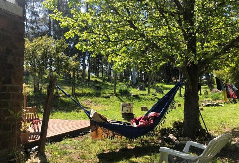 بنسيون Un Lugar Para Compartir