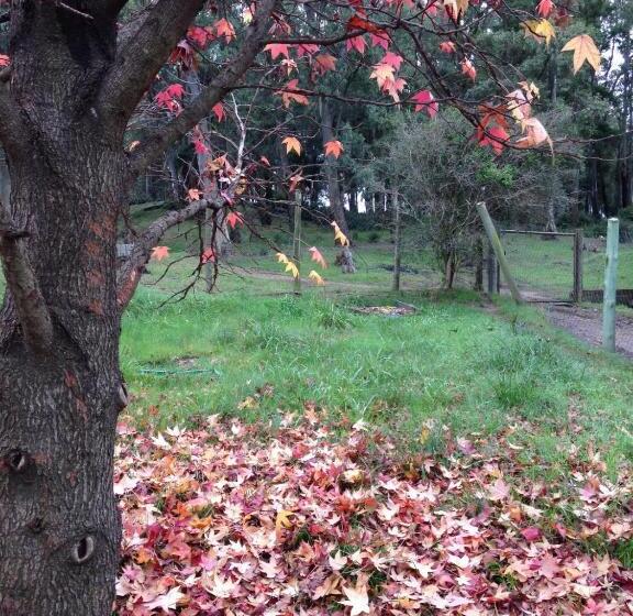 بنسيون Un Lugar Para Compartir