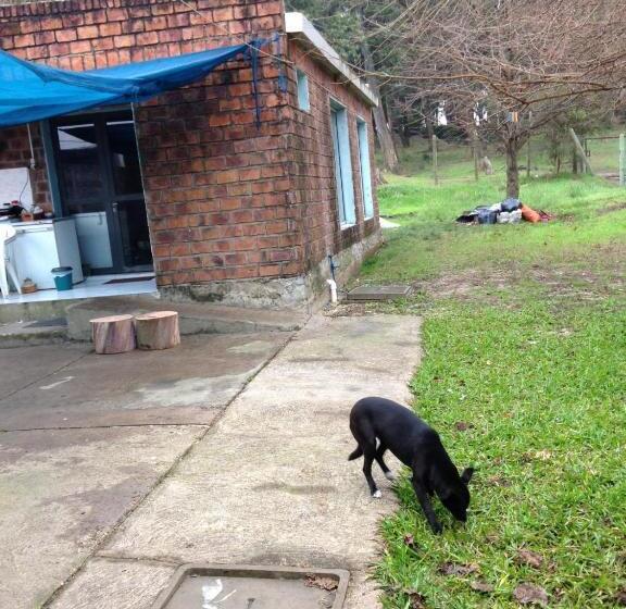 بنسيون Un Lugar Para Compartir