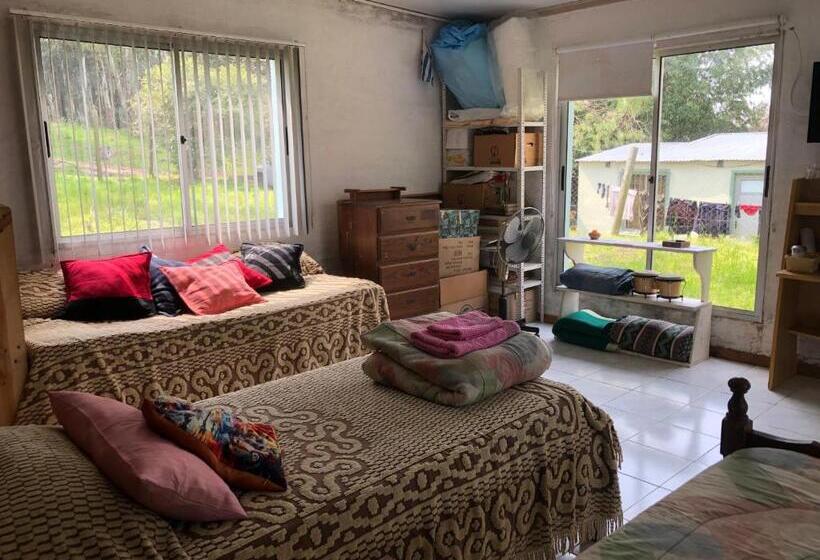 پانسیون Un Lugar Para Compartir