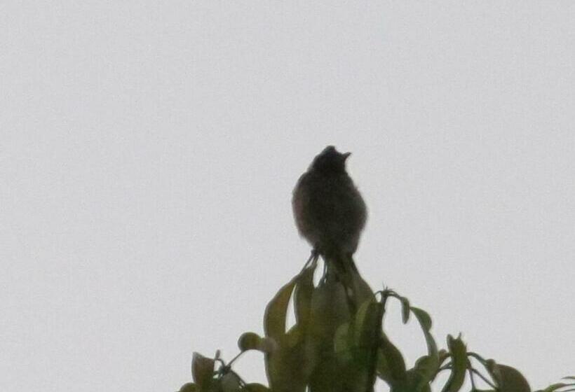 펜션 Vidya Konkan Agro Tourism