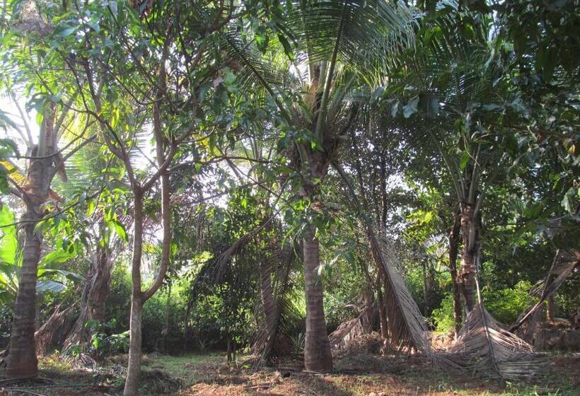 펜션 Vidya Konkan Agro Tourism