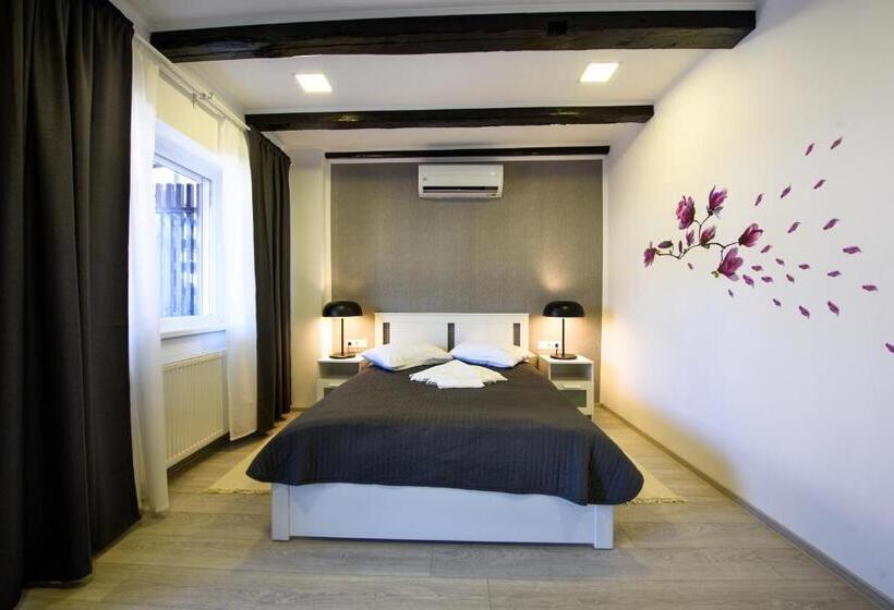 Pensiunea Alina Adults Only