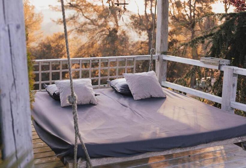 ベッドアンドブレックファースト Can Caponet