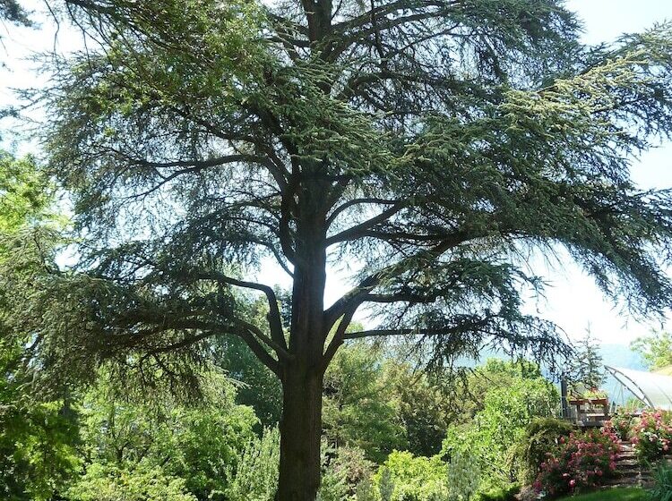 مبيت وإفطار Domaine Du Pressoir