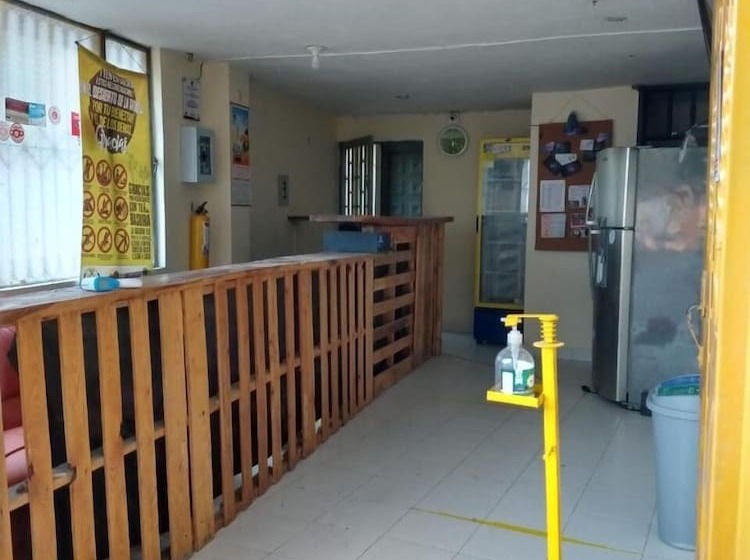 Отель Merkezi Saray