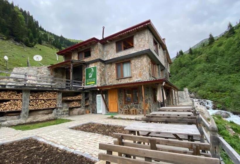 ホテル Serinyer Dagevi