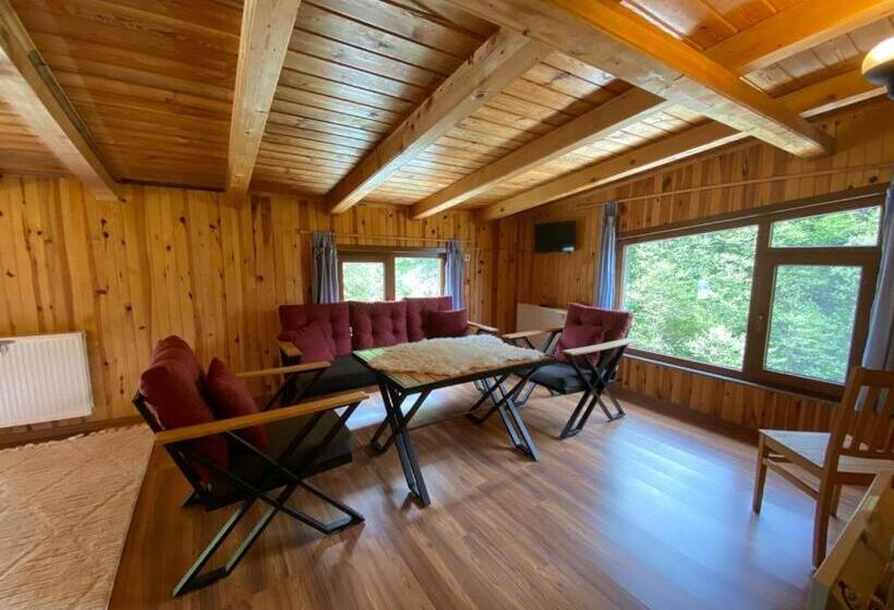 ホテル Serinyer Dagevi