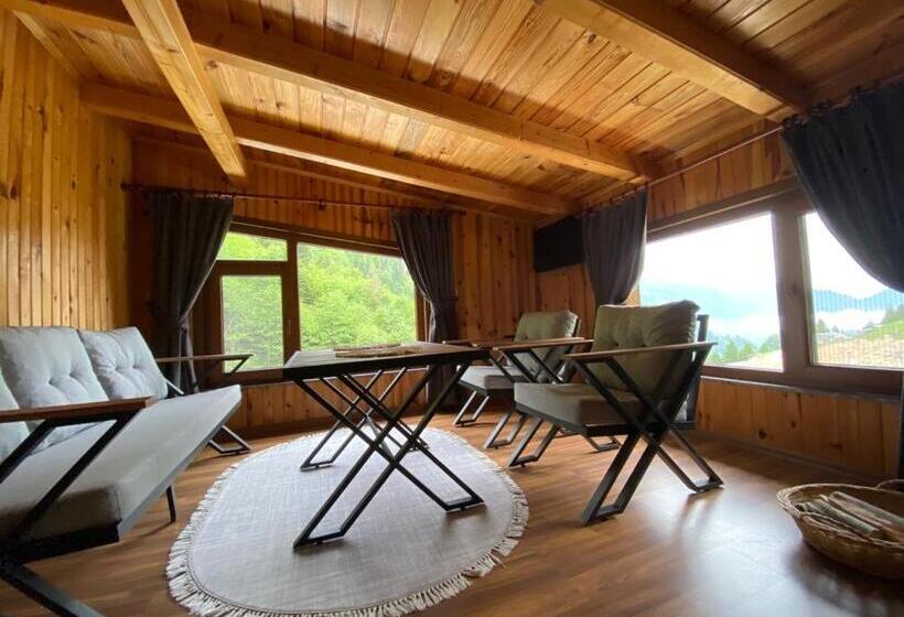 ホテル Serinyer Dagevi