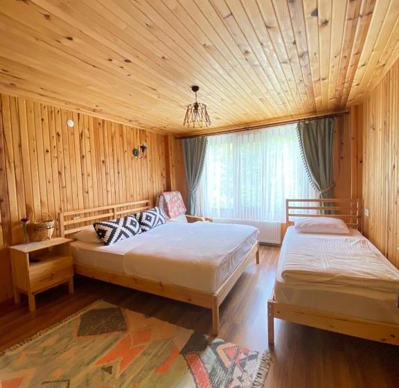 ホテル Serinyer Dagevi