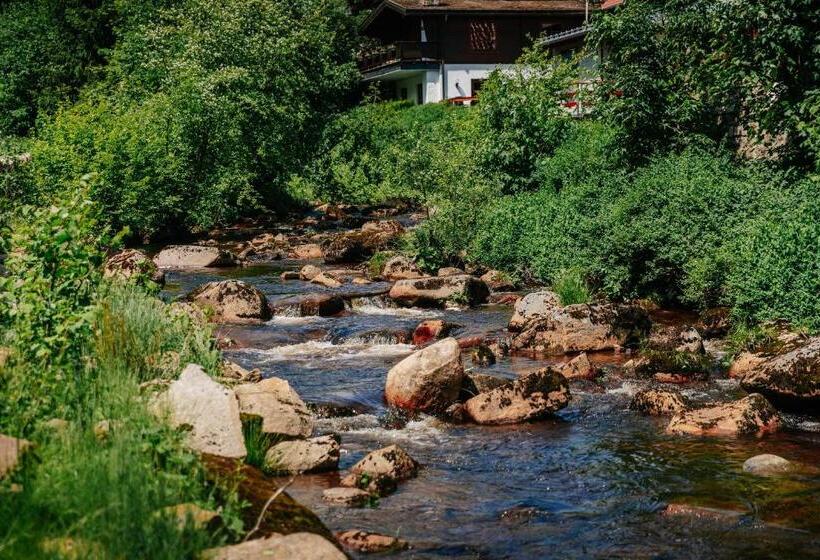 ホテル Villa Bodeblick