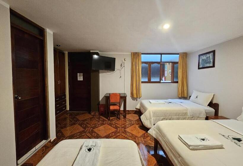 هاستل Anita Hostal