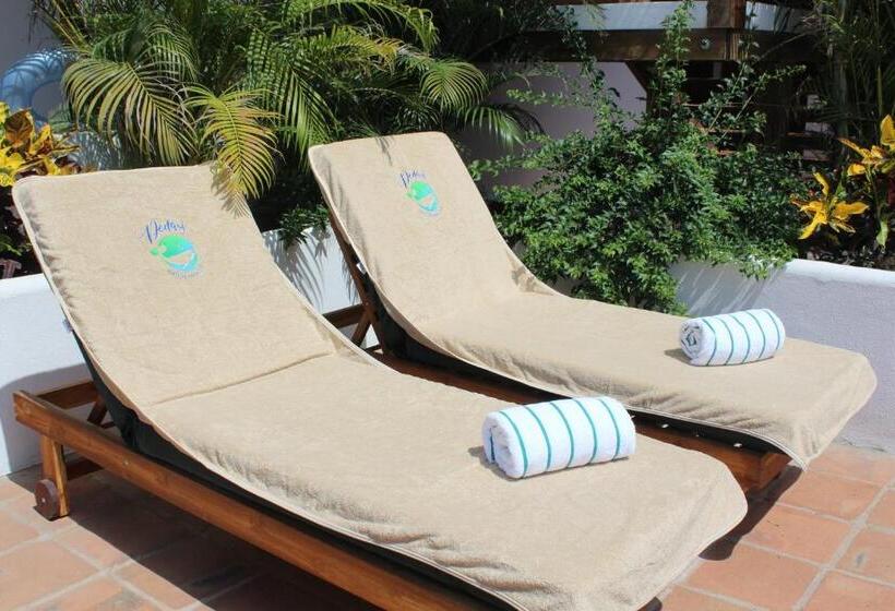 旅馆 Pedasí Nature Paradise