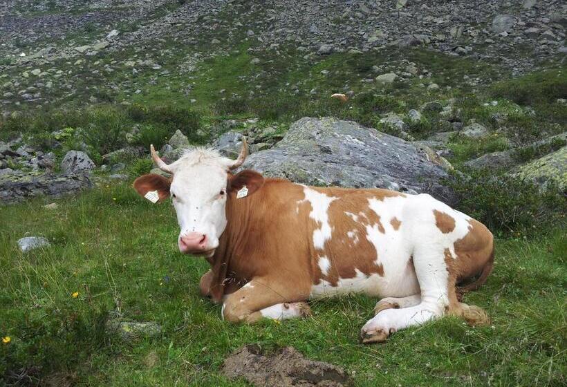 Alpenrose Hotel Garni