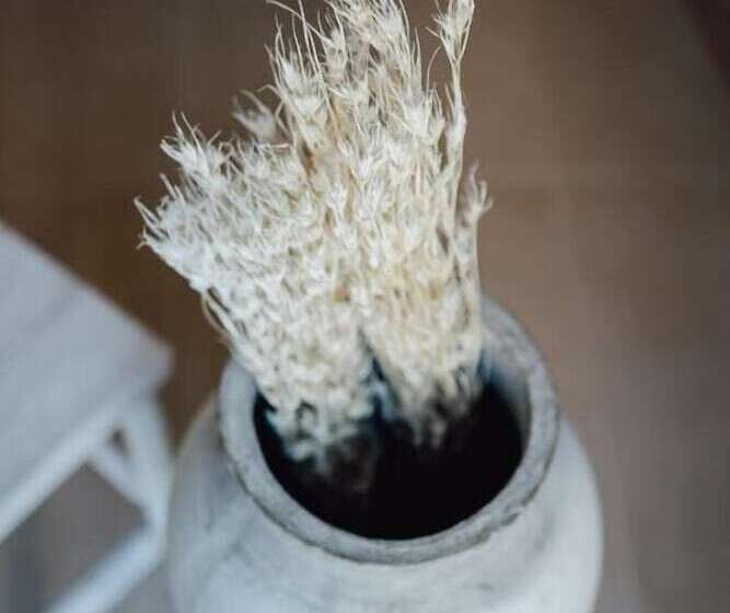 Bed and Breakfast Break For Two