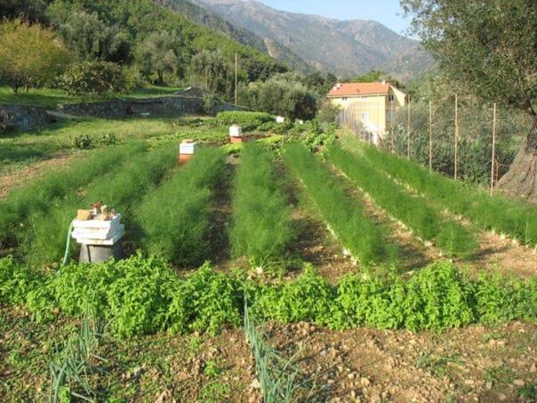 호텔 Agriturismo Argentea