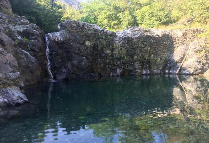 호텔 Agriturismo Argentea