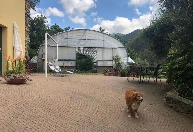 호텔 Agriturismo Argentea