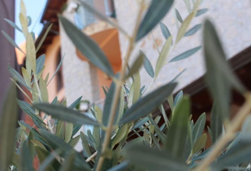 בית מלון כפרי Rambuje Resort