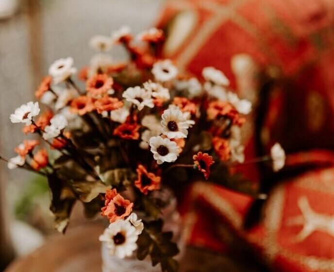 ホテル Camping Sítio Do Sol