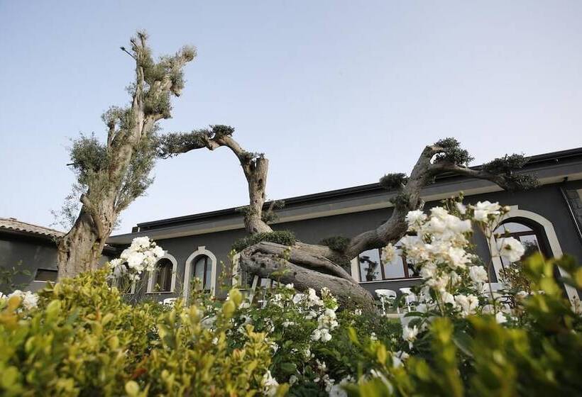 호텔 Terra Di Venera