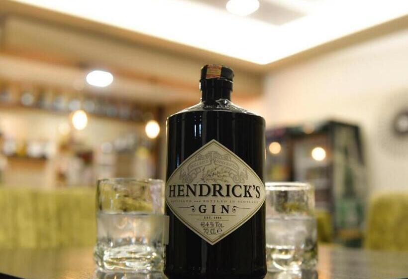 בית מלון כפרי Vila Dedej