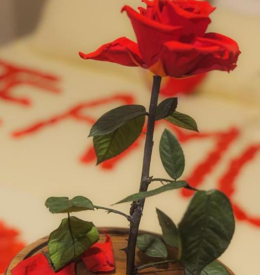 בית מלון כפרי Vila Dedej