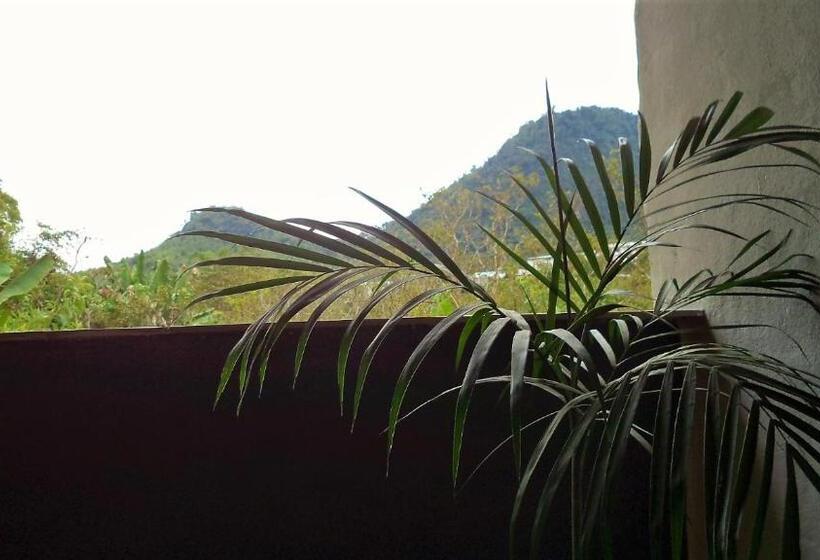 پانسیون Cinnamon House