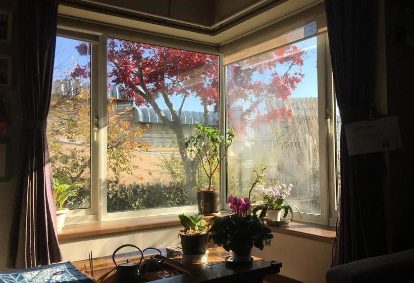 פנסיון Guest House Chara