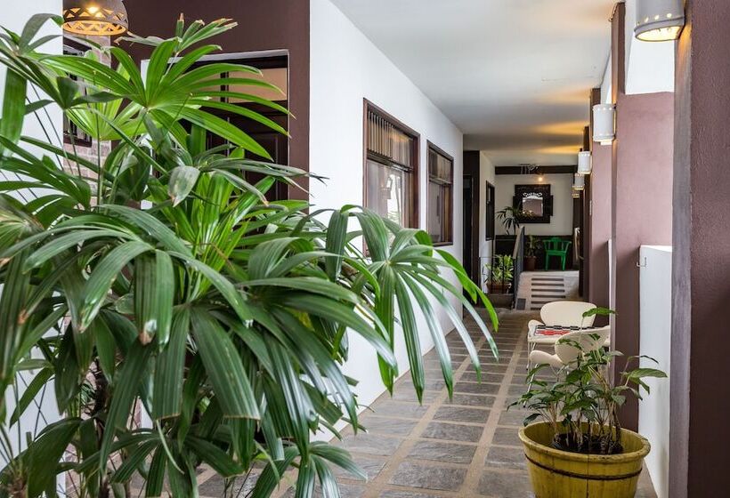 Alajuela City Hotel & Guest House