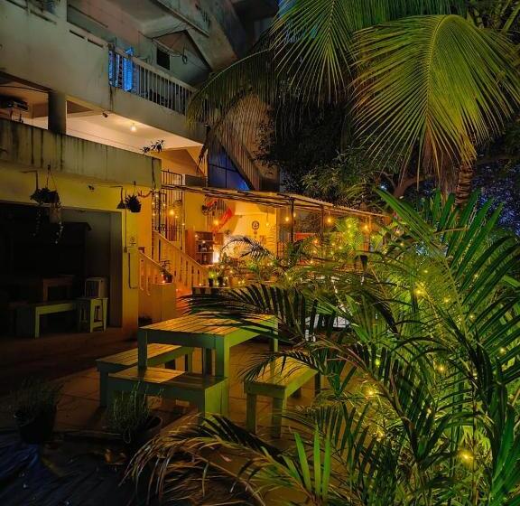 Shepherd Stories   Hostel