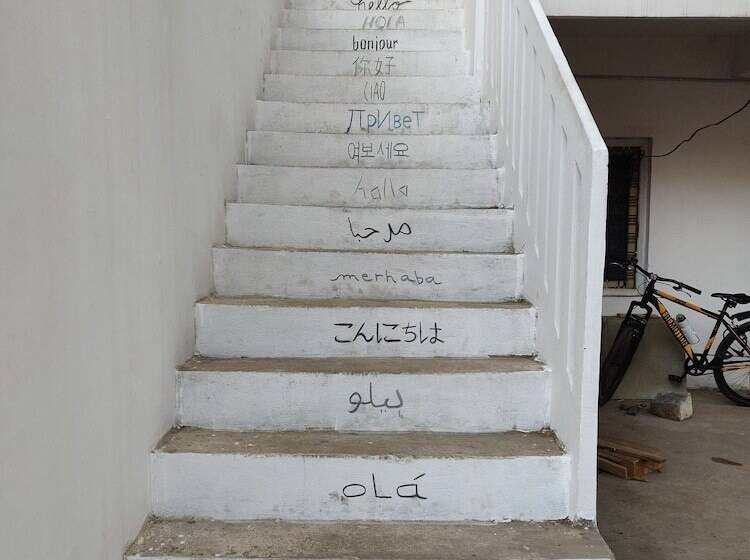 Shepherd Stories   Hostel