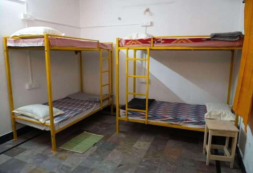 Shepherd Stories   Hostel
