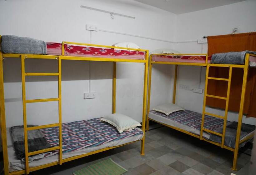 Shepherd Stories   Hostel