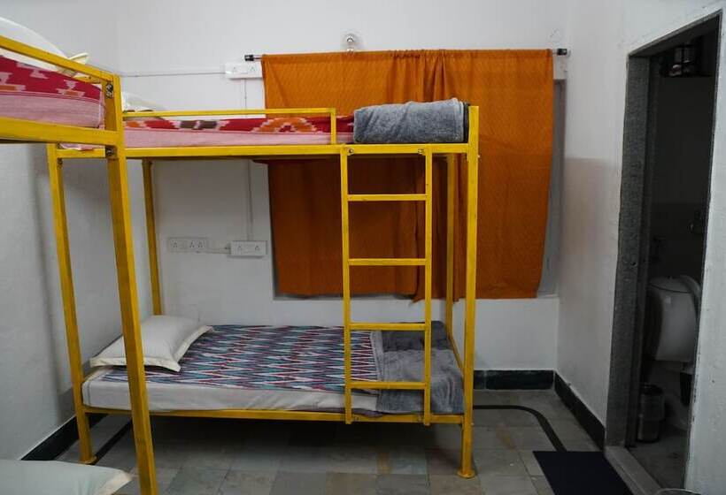 Shepherd Stories   Hostel