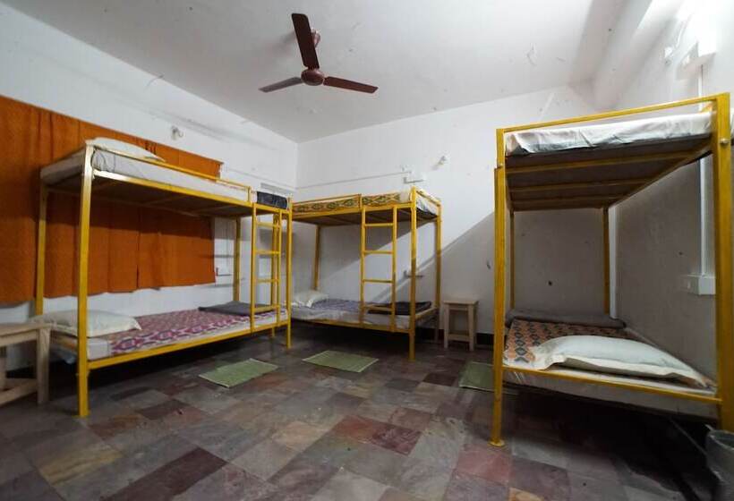 Shepherd Stories   Hostel