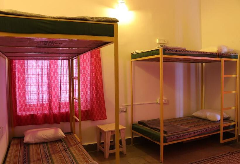 Shepherd Stories   Hostel