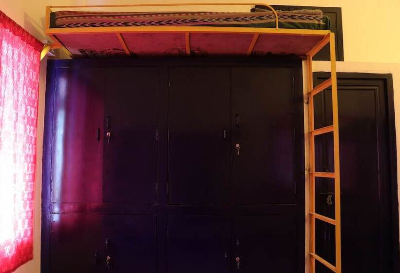 Shepherd Stories   Hostel