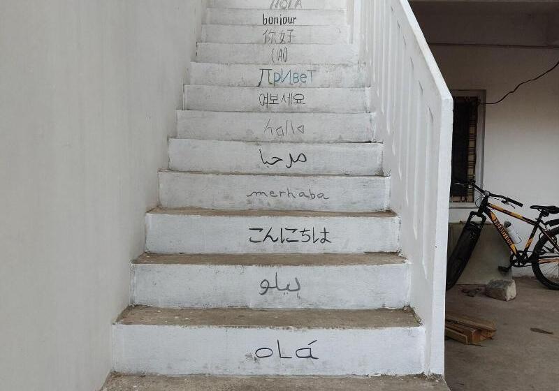 Shepherd Stories   Hostel