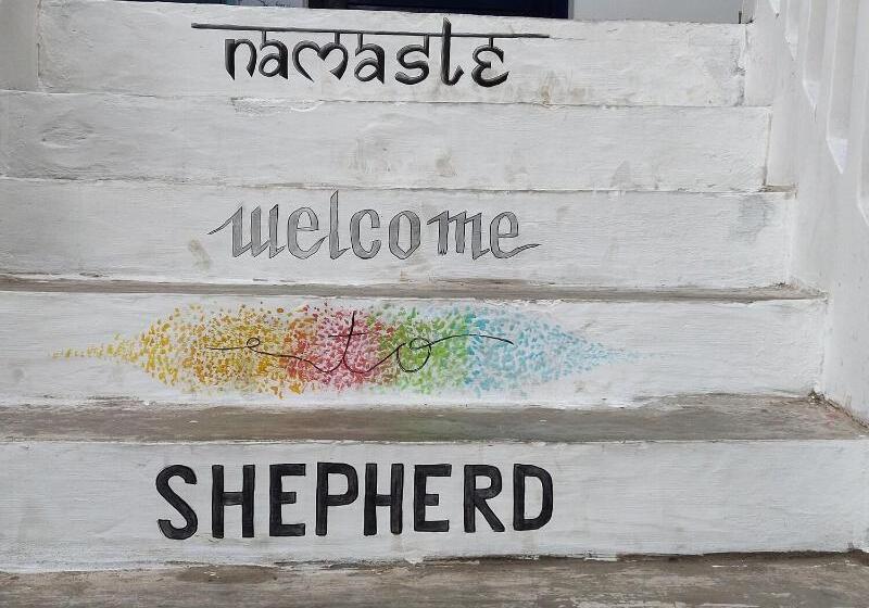 Shepherd Stories   Hostel