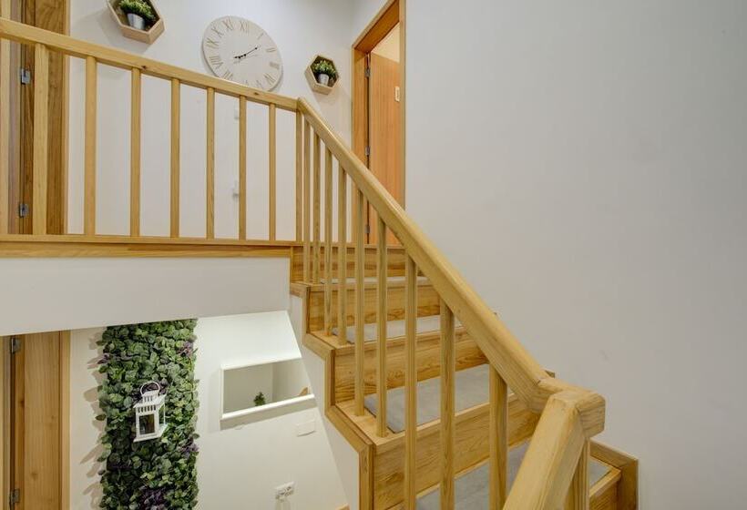 مبيت وإفطار Bellu Suites