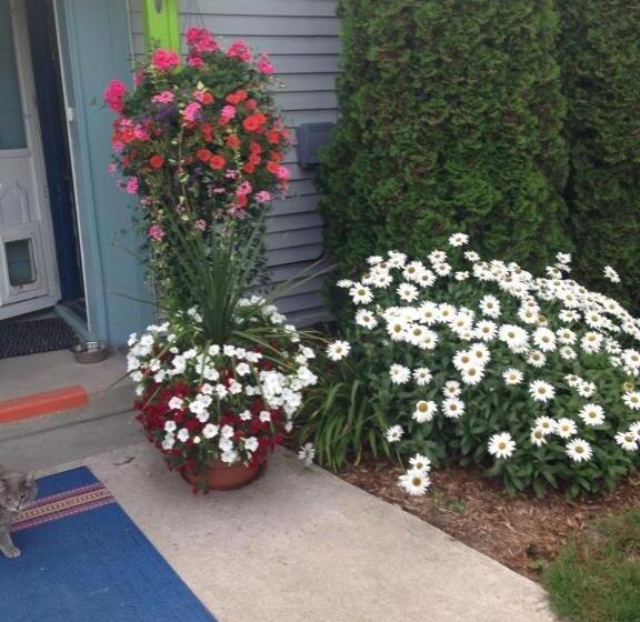 בית מלון כפרי Bay Port Lodging