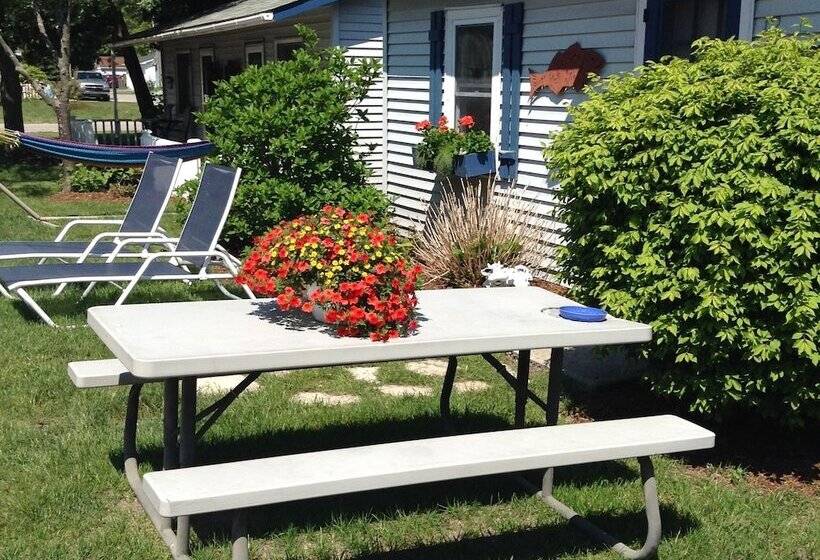 בית מלון כפרי Bay Port Lodging