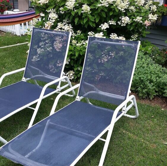 בית מלון כפרי Bay Port Lodging