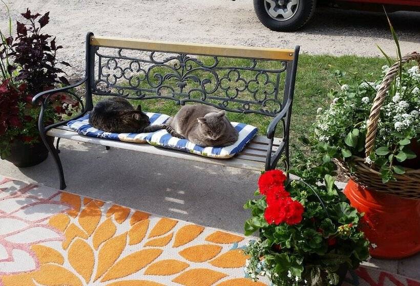 בית מלון כפרי Bay Port Lodging