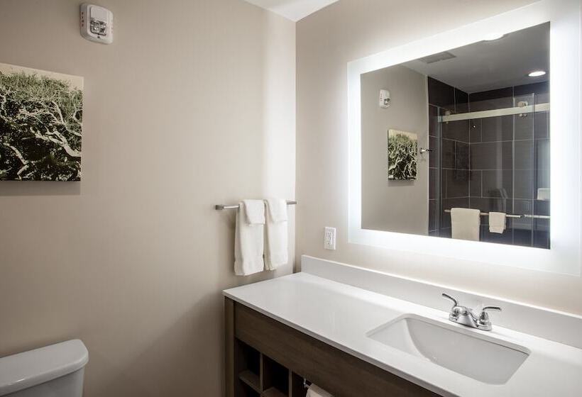 Отель Voco St Augustine Historic Area, An Ihg