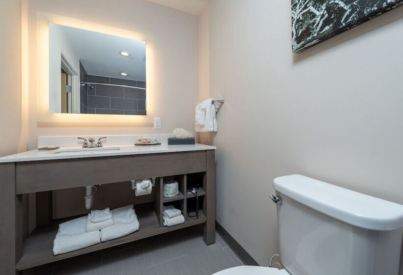 Отель Voco St Augustine Historic Area, An Ihg